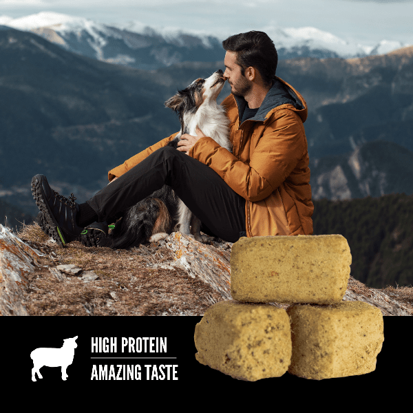 Champion Petfoods Orijen Lamb Recipe Freeze-Dried Dog Treats