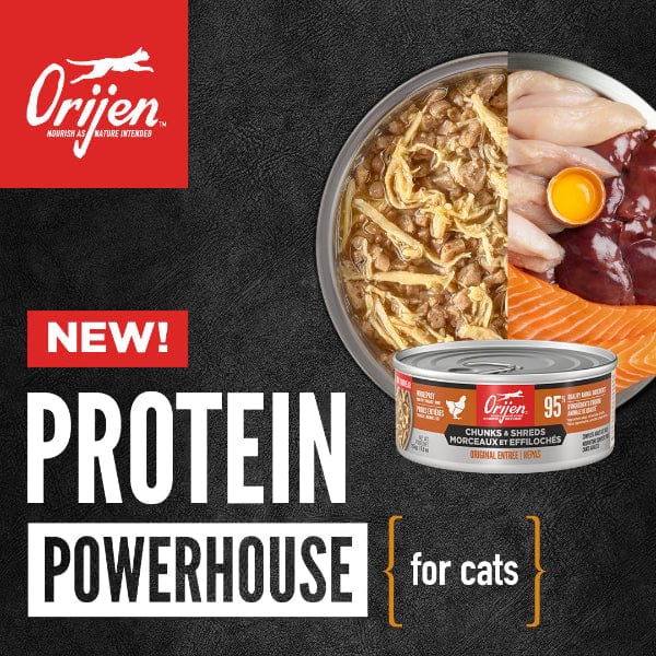 Champion Petfoods Orijen Original Chunks & Shreds Entrée Canned Cat Food, 5.5oz