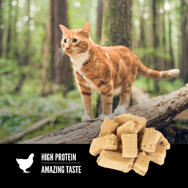 Champion Petfoods Orijen Original Freeze-Dried Cat Treats