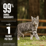 Champion Petfoods Orijen Original Freeze-Dried Cat Treats