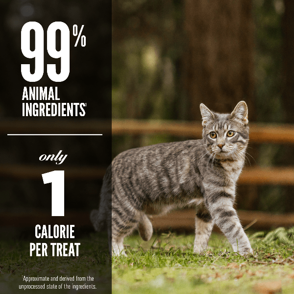 Champion Petfoods Orijen Original Freeze-Dried Cat Treats