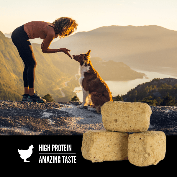 Champion Petfoods Orijen Original Freeze-Dried Dog Treats