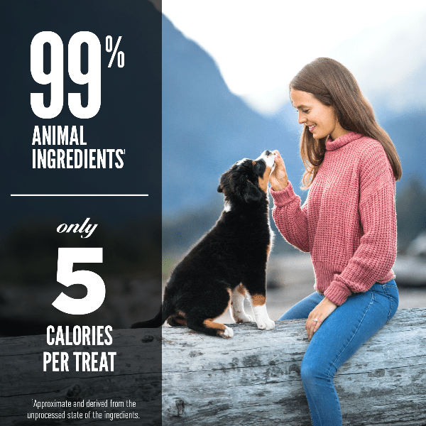 Champion Petfoods Orijen Original Freeze-Dried Dog Treats