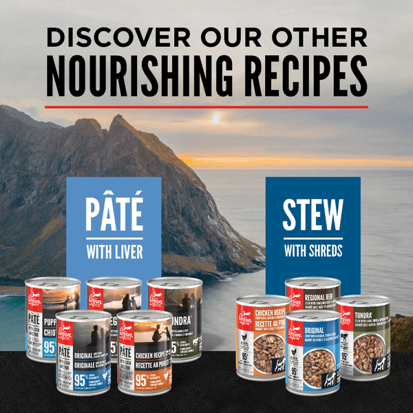 Champion Petfoods Orijen Original Pate with Liver Canned Dog Food