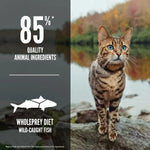 Champion Petfoods Orijen Six Fish Dry Cat Food