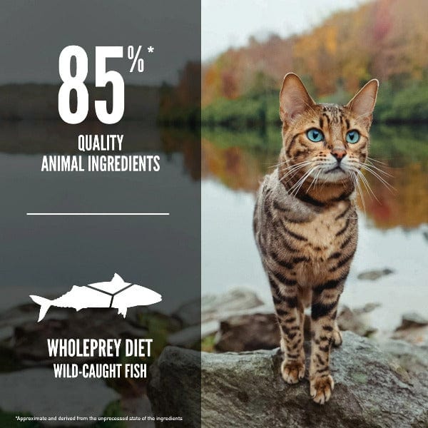 Champion Petfoods Orijen Six Fish Dry Cat Food