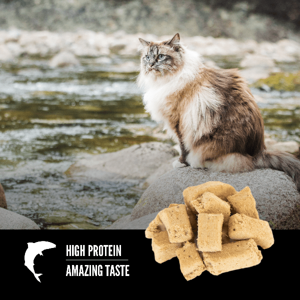 Orijen freeze dried cat treats hotsell