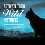Champion Petfoods Orijen Wild Reserve Wild-Caught Fish Dry Cat Food
