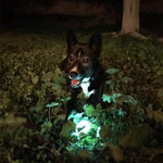 Chuckit! Chuckit! Max Glow Ball Medium