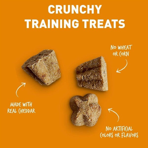 CloudStar Cloud Star Tricky Trainers with Cheddar Crunchy Dog Treats