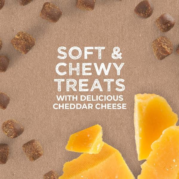 CloudStar Cloud Star Tricky Trainers with Cheddar Soft & Chewy Dog Treats