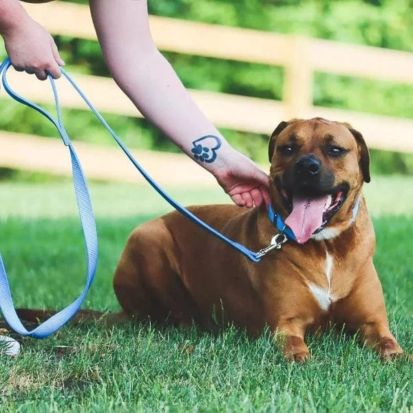 Coastal Pet Products Coastal Double-Ply Nylon Dog Leash