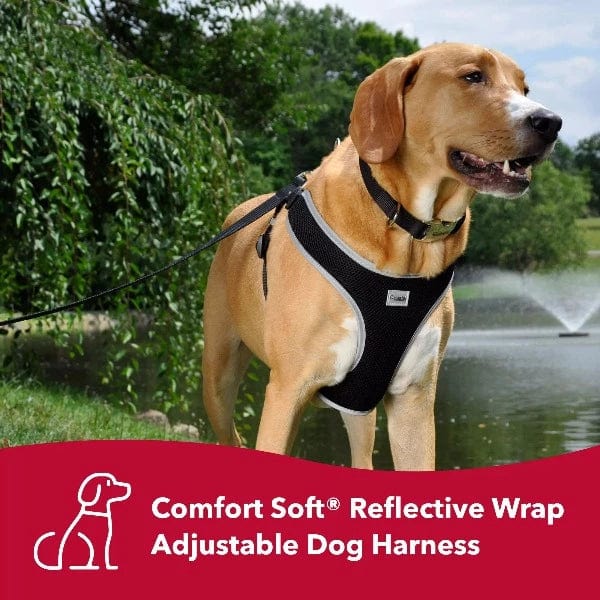Coastal harness comfort best sale