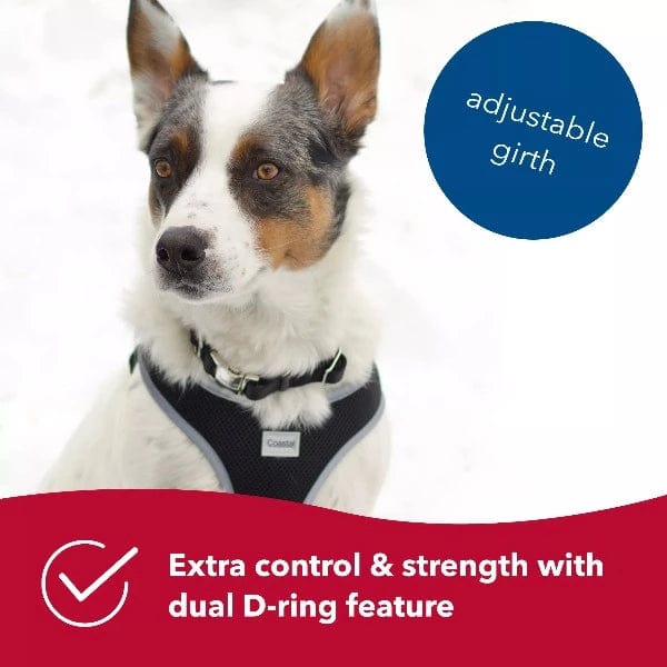 Petland dog deals harness