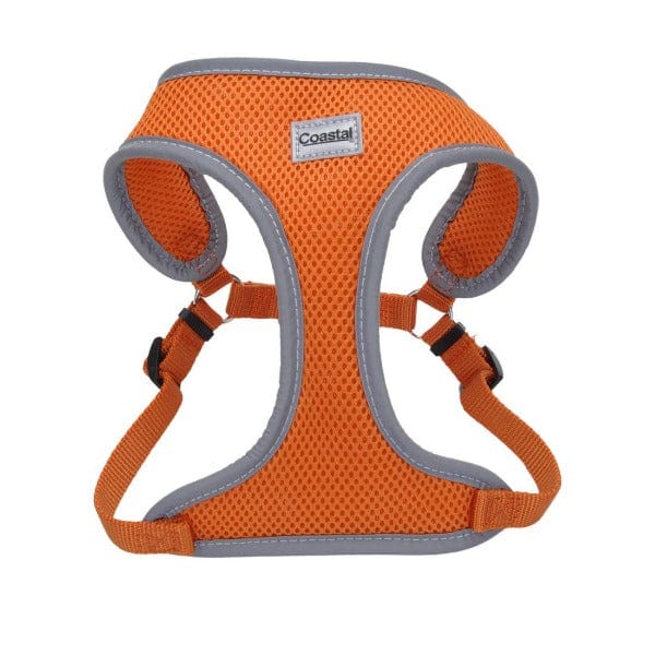 PetWale Cotton Adjustable Dog H-Harness (Orange & Blue, Medium) :  : Pet Supplies