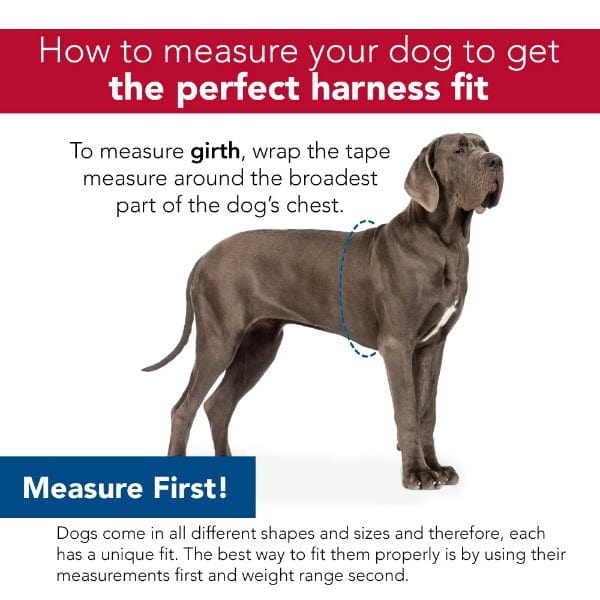 Coastal Pet Products Comfort Wrap Adjustable Nylon Dog Harness