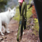 Coastal Pet Products K9 Explorer Reflective Dog Leash with Scissor Snap
