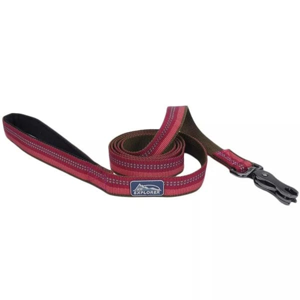 Coastal Pet Products K9 Explorer Reflective Dog Leash with Scissor Snap