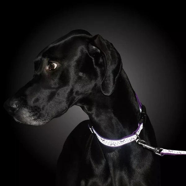 Lazer Brite Reflective Open Design Adjustable Dog Collar Purple Daisy 8 12 Long x 3 8 Wide