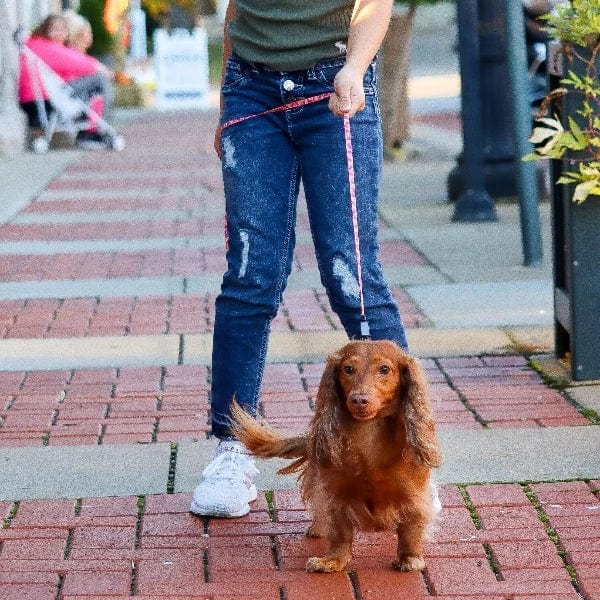 Coastal Pet Products Li'l Pals Dog Leash with E-Z Snap