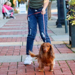 Coastal Pet Products Li'l Pals Dog Leash with E-Z Snap