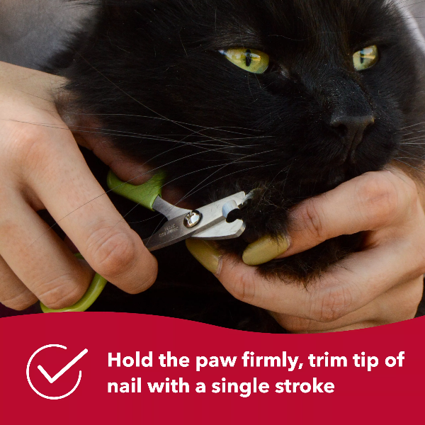 Coastal Pet Products Safari Cat Nail Trimmer