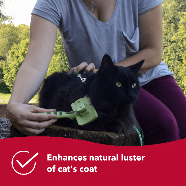 Coastal Pet Products Safari Cat Self-Cleaning Slicker Brush
