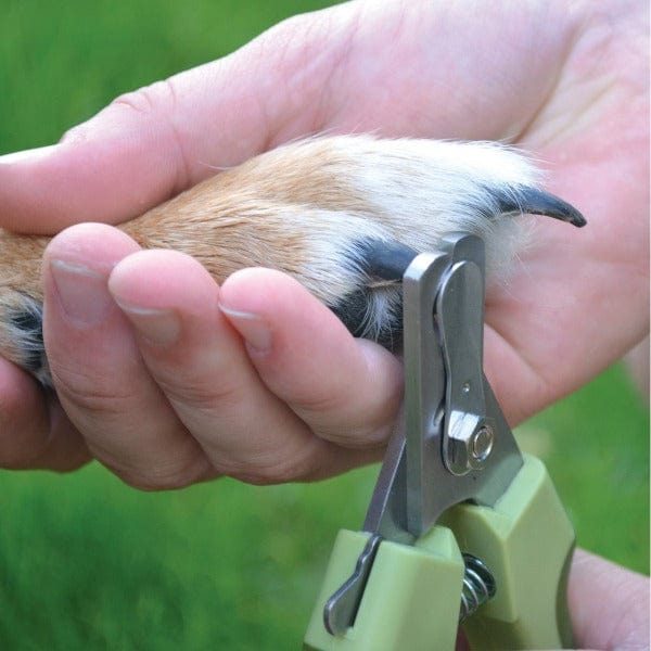  Tpotato Dog Nail Clippers,Dog Nail Trimmers for Large Breed Dog  with Quick Sensor,Safari Professional Cat Nail Clipper with Safety Guard  and Nail File.