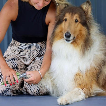 Coastal Pet Products Safari Professional Dog Nail Trimmer