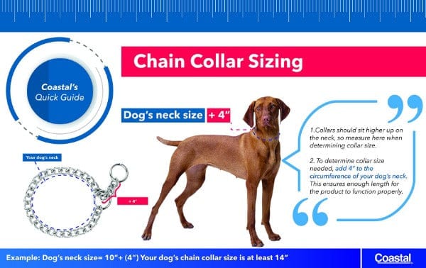 Coastal Pet Products Titan Chain Training Dog Collar