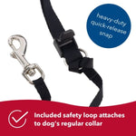 Coastal Pet Products Walk 'n Train! Dog Head Halter