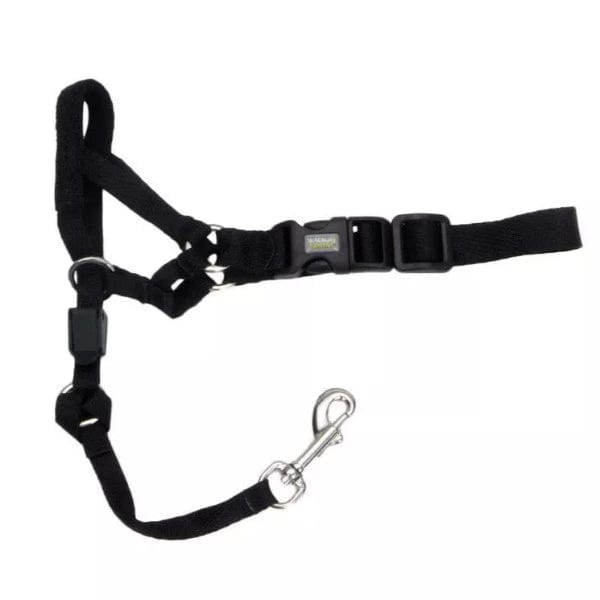Coastal Pet Products Walk 'n Train! Dog Head Halter