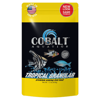 Cobalt top cichlid food