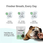 Crumps Crumps' naturals Fresh Bites Spearmint (SPECIAL ORDER ITEM)