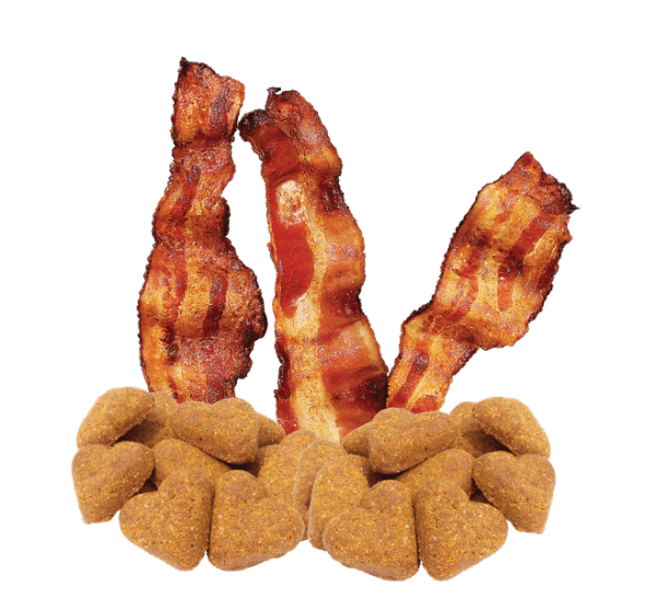 Darford Darford Grain Free Bacon Recipe Oven-Baked Dog Treats