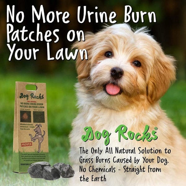 Dog Rocks Dog Rocks - Save your Lawn
