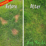 Dog Rocks Dog Rocks - Save your Lawn