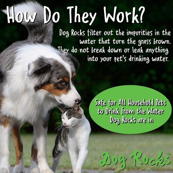 Dog Rocks Dog Rocks - Save your Lawn