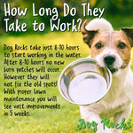 Dog Rocks Dog Rocks - Save your Lawn
