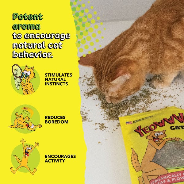 Ducky World Products, Inc. Yeowww! Catnip