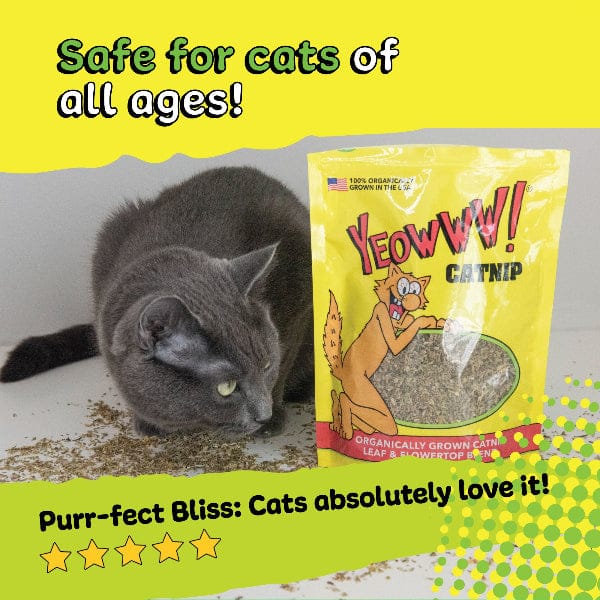 Ducky World Products, Inc. Yeowww! Catnip