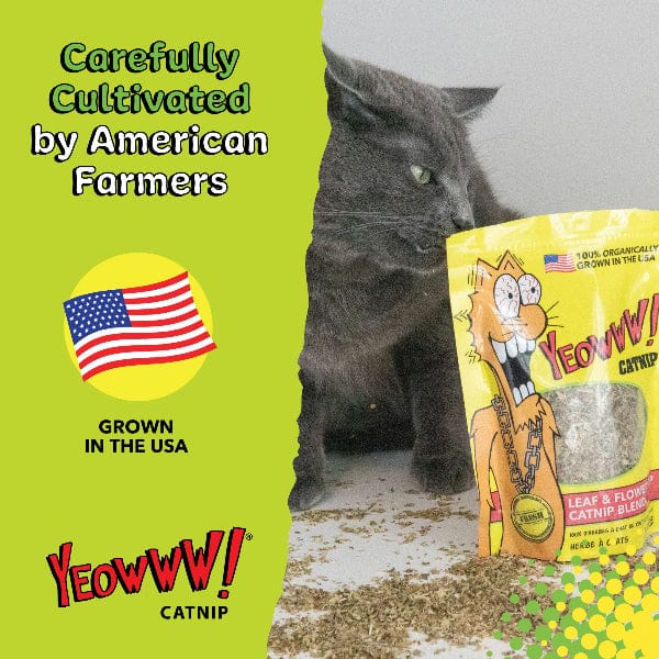 Ducky World Products, Inc. Yeowww! Catnip