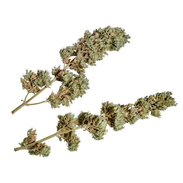 Ducky World Products, Inc. Yeowww! Catnip Buds