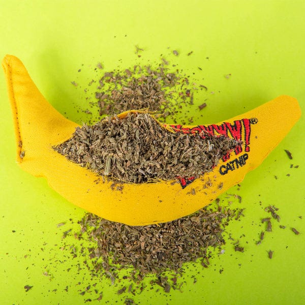 Ducky World Products, Inc. Yeowww! Chi-CAT-a Banana Cat Toy