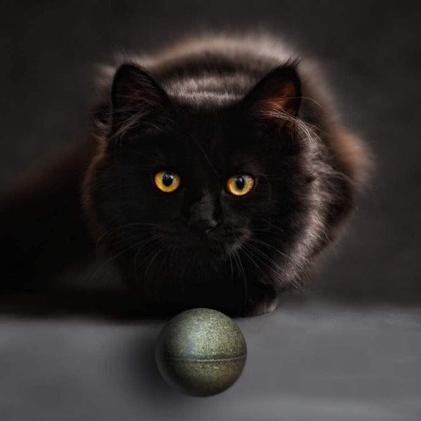 Edible Animal Treats, Inc. Pawbreakers! Bonkas Catnip Ball