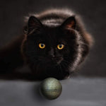 Edible Animal Treats, Inc. Pawbreakers! Bonkas Catnip Ball