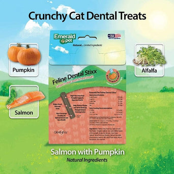 Emerald Pet Emerald Pet Feline Dental Stixx Salmon & Pumpkin