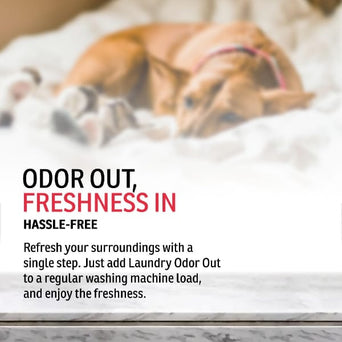 Enviro Fresh Enviro Fresh Laundry Odor Out Unscented Washing Machine Additive