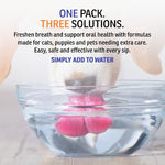 Enviro Fresh Slurp'n Fresh Oral Hygiene Solution for Mature Dogs, 400ml