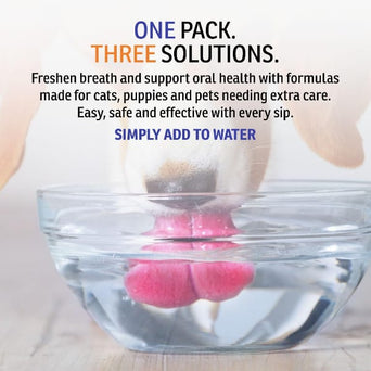 Enviro Fresh Slurp'n Fresh Oral Hygiene Solution for Mature Dogs, 400ml